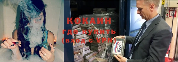 дмт Алексин