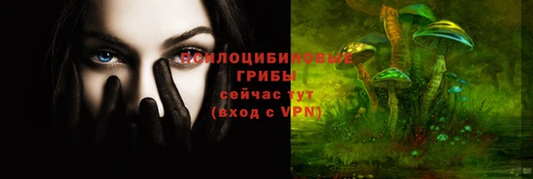 СК Алексеевка