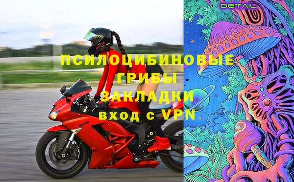 соль ск Алзамай