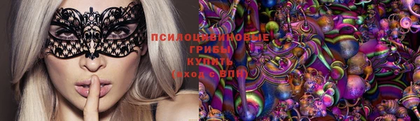 дмт Алексин