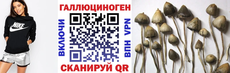 Псилоцибиновые грибы прущие грибы Липки